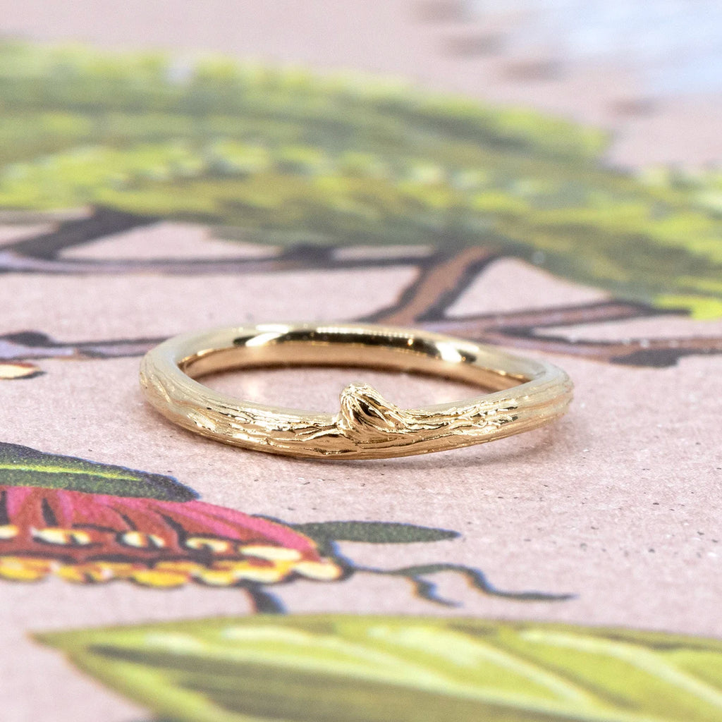 Nature-inspired yellow gold ring by Meg Lizabet, resting on a botanical illustration. The band mimics a slender tree branch with a textured bark finish and a sculpted knot. Organic contemporary jewelry made in Montreal and available at Ruby Mardi.