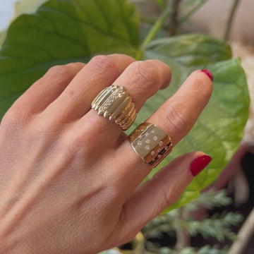 Video showing 2 bold gold rings with diamonds on a hand with red nails and a flowery background. These statement rings are creations of independent jewelry brand Bena Jewelry are are available in Montreal, Canada, at Ruby Mardi, where the video was shot.